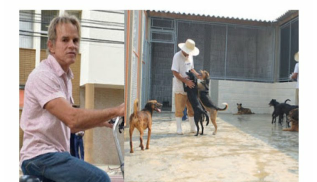 Prefeito de Colatina cancela carnaval e usa o dinheiro para construir canil aos cães de rua